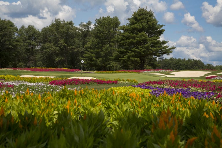 Summer wildflowers showcase on the sixteenth hole at Sentryworld Golf Club