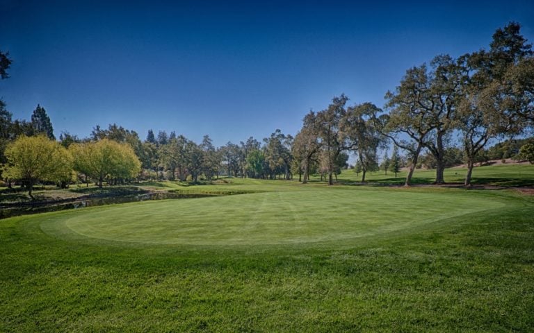 A large green is surrounded by tall trees and a lake at Silverado Golf Resort