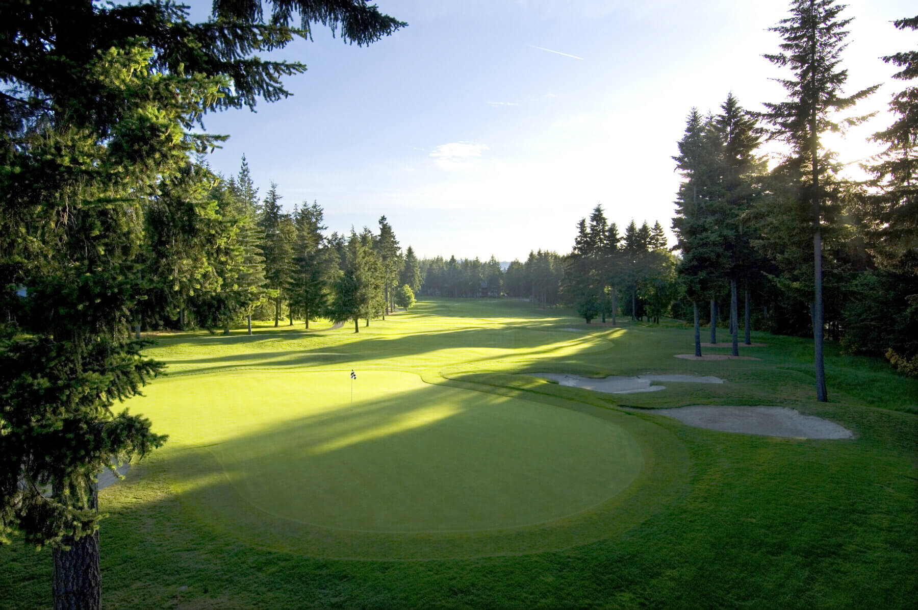 Dense woodland surrounds the twelfth hole and green at Crown Isle Golf Resort
