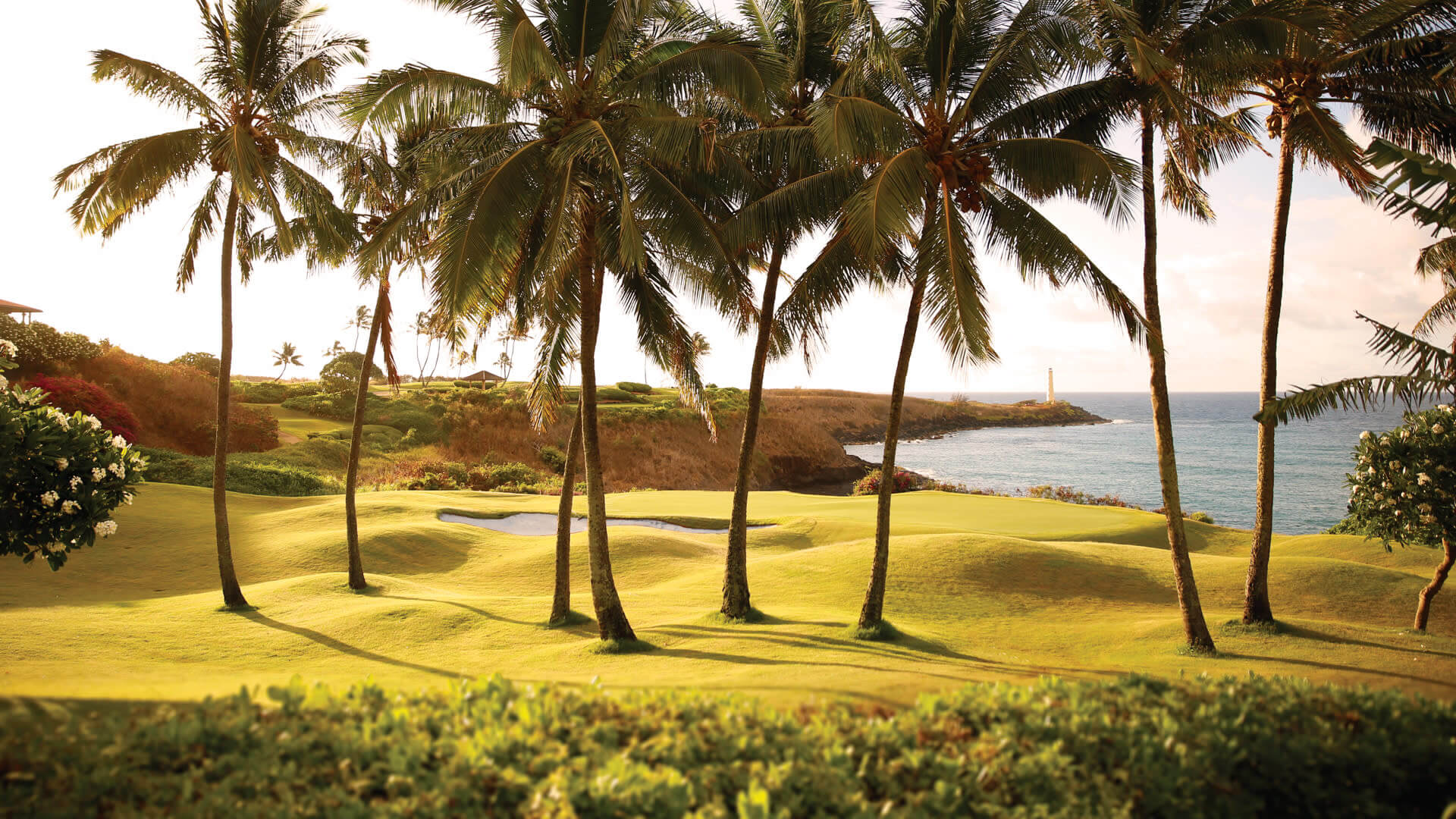 Overlooking palm trees and the distant Pacific Ocean on the fourteenth hole of the Ocean Course at Hokuala