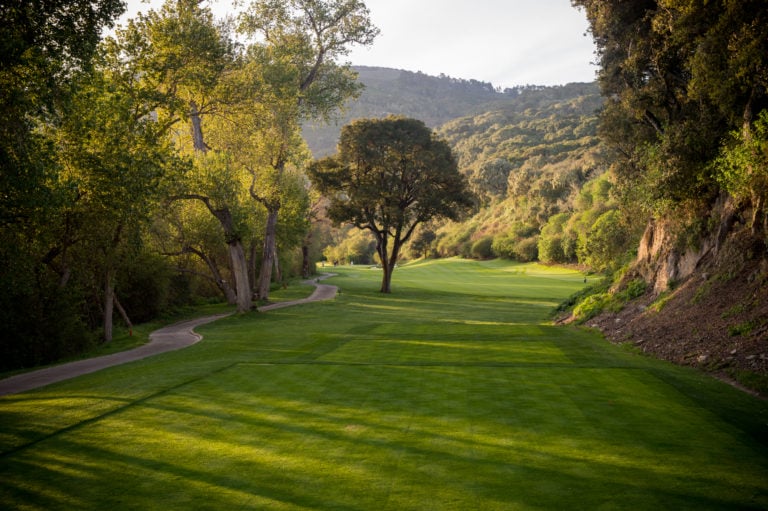 A large tree lies on the eleventh hole of the Quail Lodge Golf Course in California