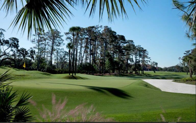 Large pine trees cast shadows over the first hole of the TPC Sawgrass Stadium course in Florida