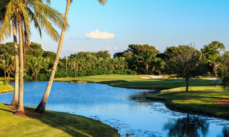 View of a green and dense foliage at The PGA National Golf Resort in Florida