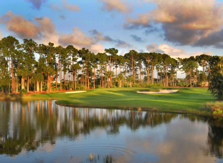 Tall pine trees line the eighth hole at PGA National Golf Resort in Florida