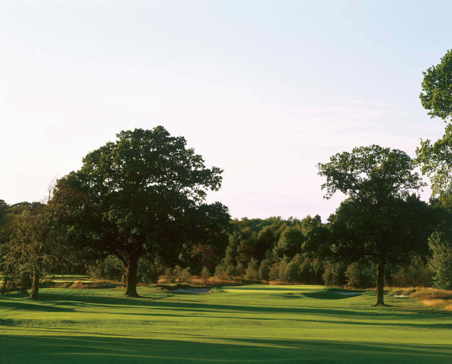 Large trees create shadows on the golf course at dusk, Duke's Golf Club, St Andrews