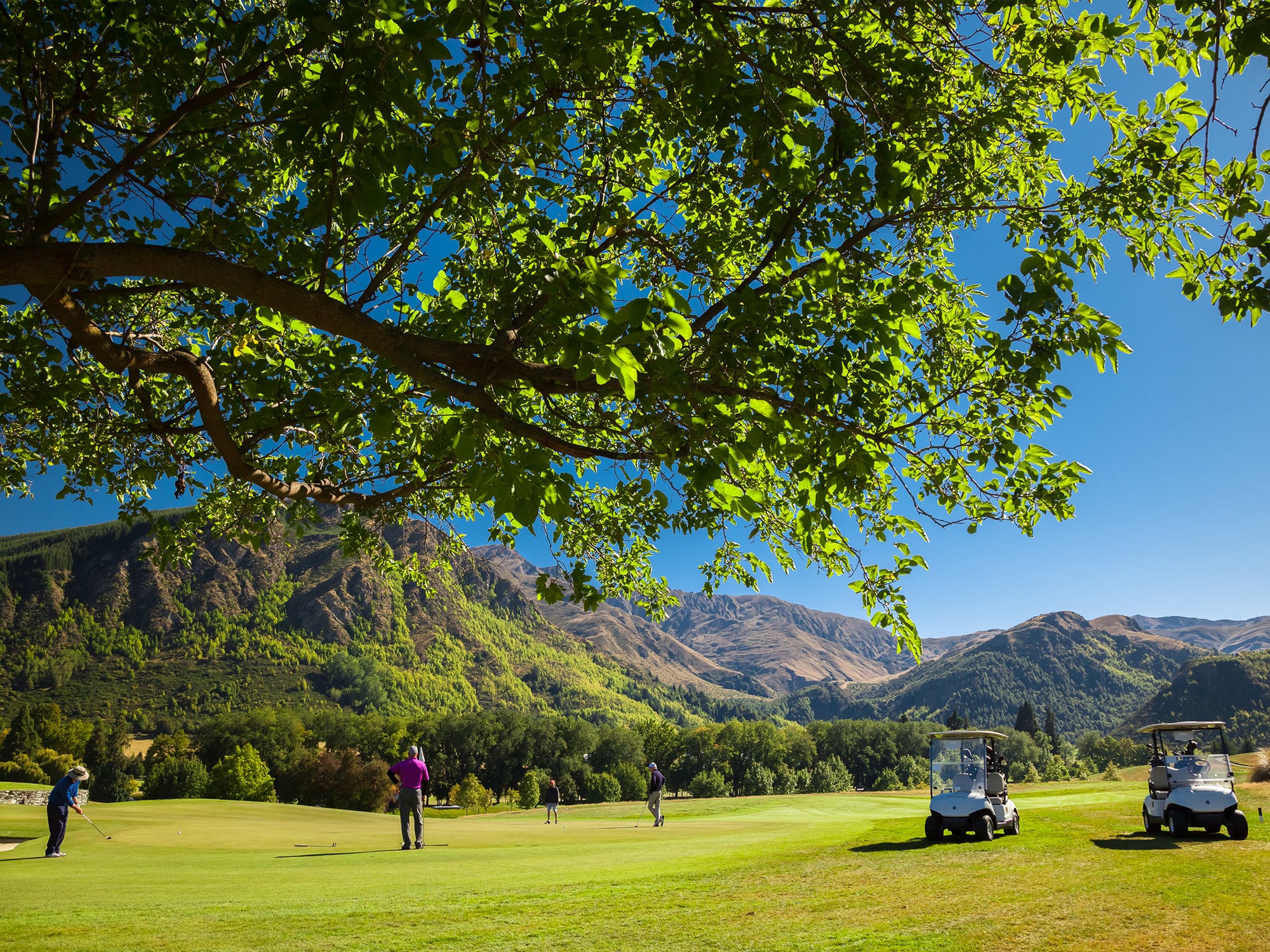 Image viewing golfers on a green at Millbrook Resort New Zealand