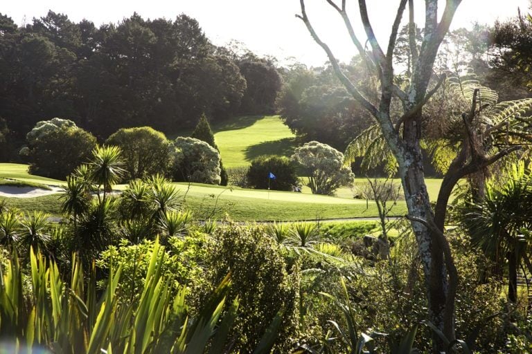 Image displaying vegetation on the Titirangi Golf Course, New Zealand