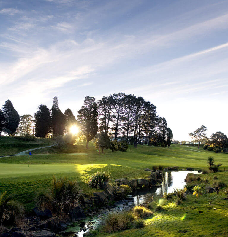 Image of the sun shining through trees on the Titirangi Golf Course's 8th hole in New Zealand
