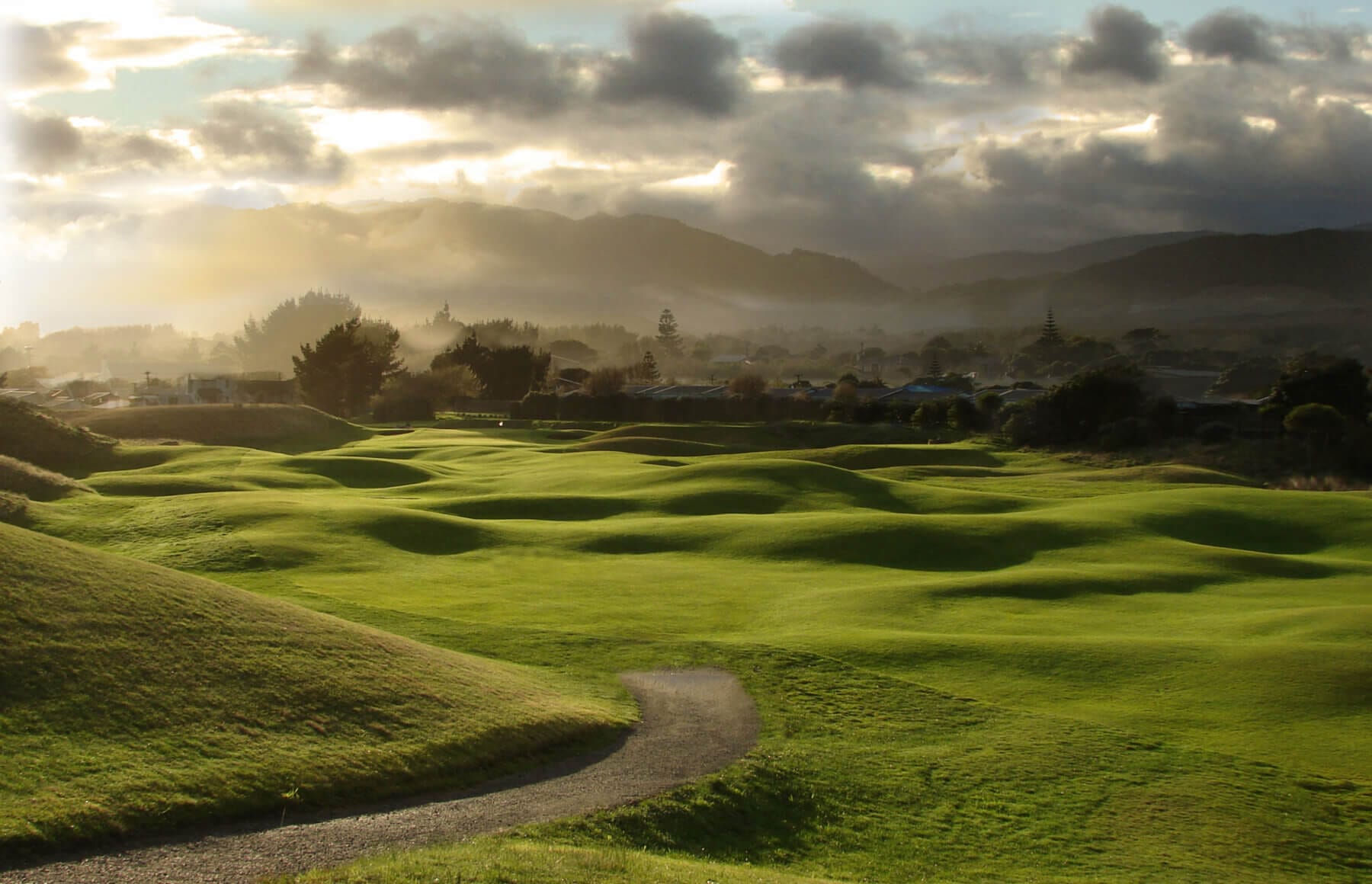 new zealand golf tours