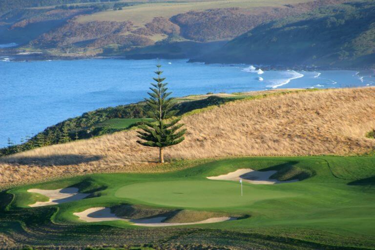 Image of a lone pine tree behind the Kauri Cliffs golf course in New Zealand