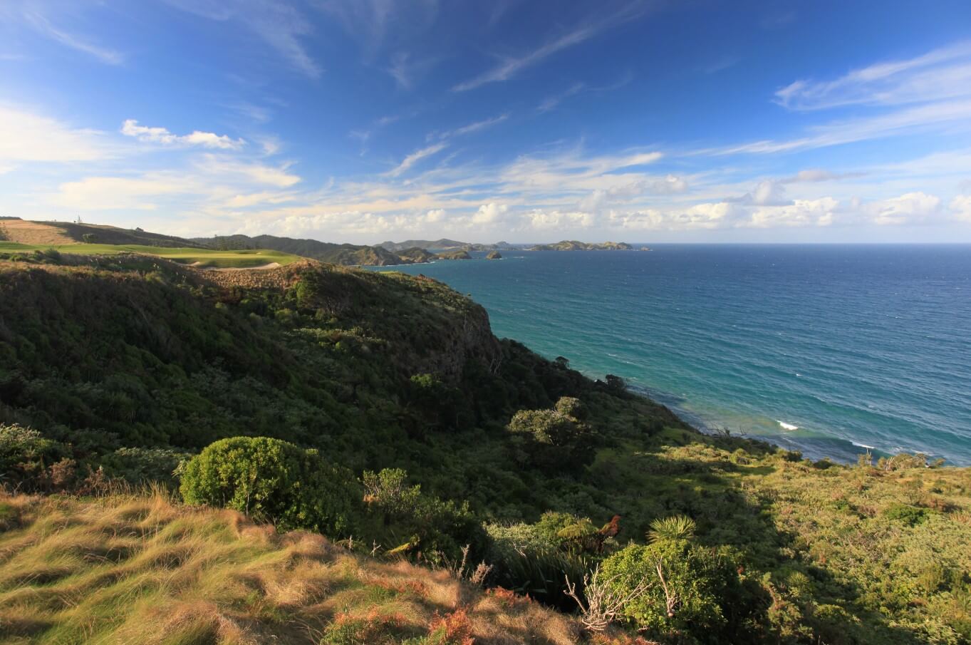 Image overlooking Matauri Bay and Kauri Cliffs Golf Resort
