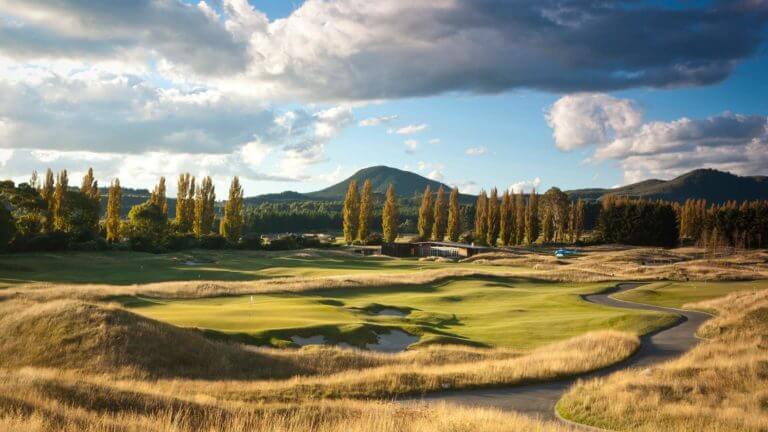 Landscape image of pencil pine trees surrounding the Kinloch Club Golf Course, New Zeland