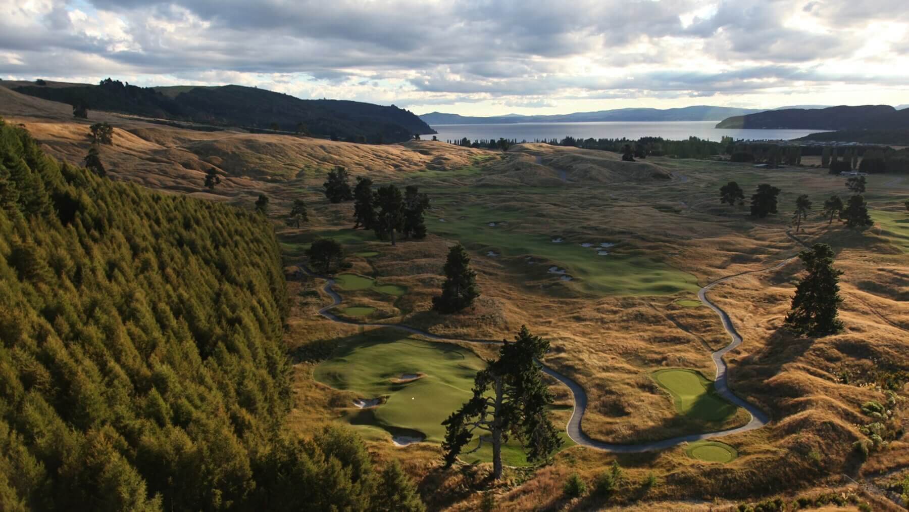 Aerial image of dense forest bordering the Kinloch Club Golf Course , Taupo, New Zealand