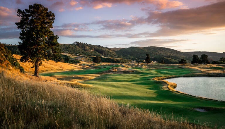 Image displaying a lone tree on the Kinloch Club Golf Course, Taupo, New Zealand