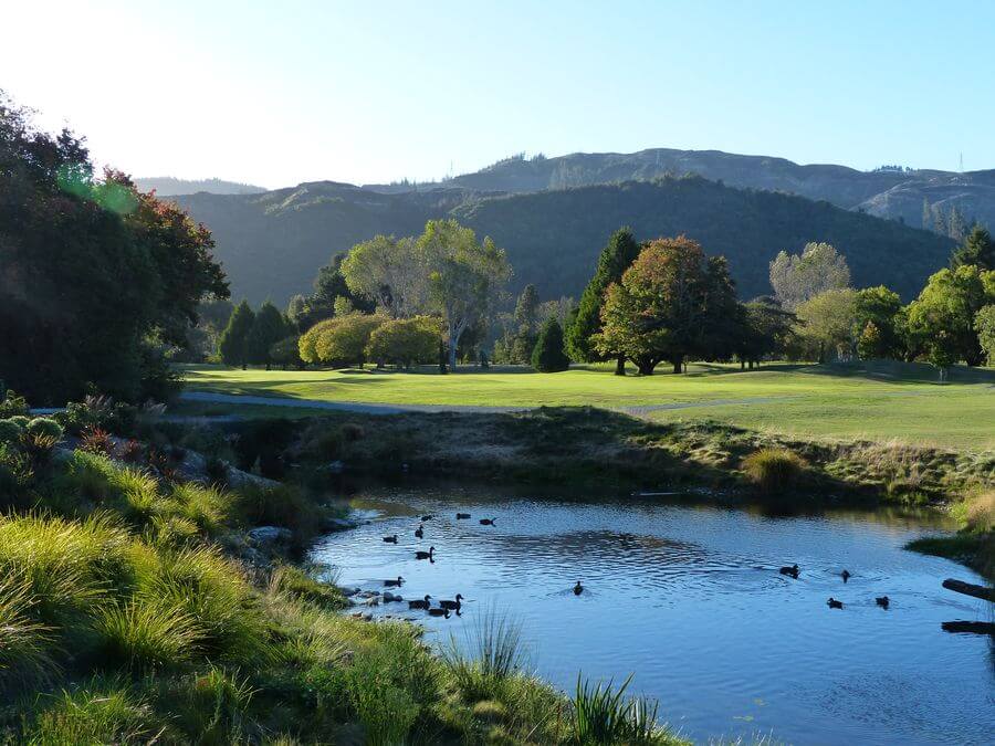 Ducks sit on the golf course lake at Royal Wellington with a rolling mountainous background