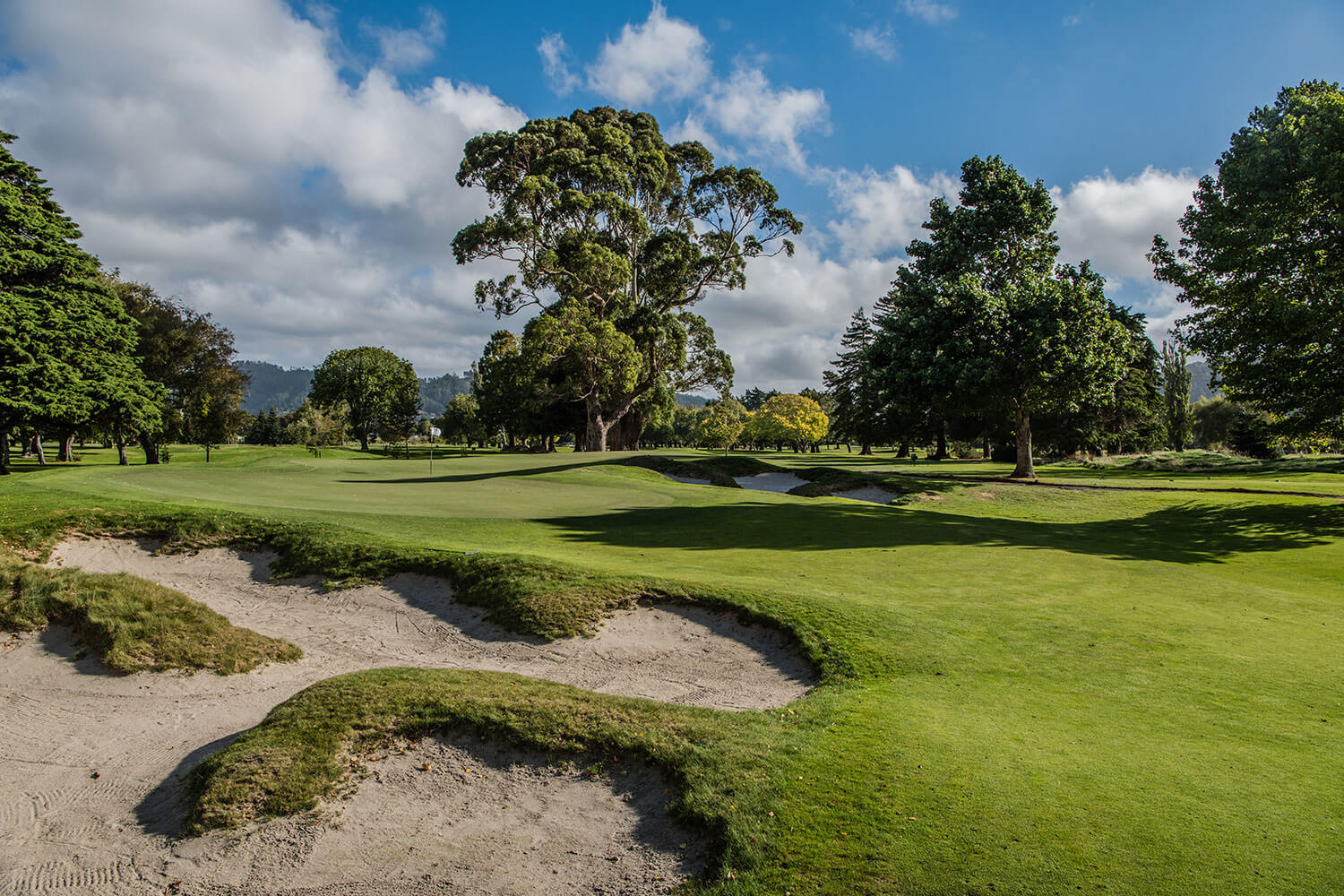 Large trees border golf course holes and greens at Royal Wellington Golf Club