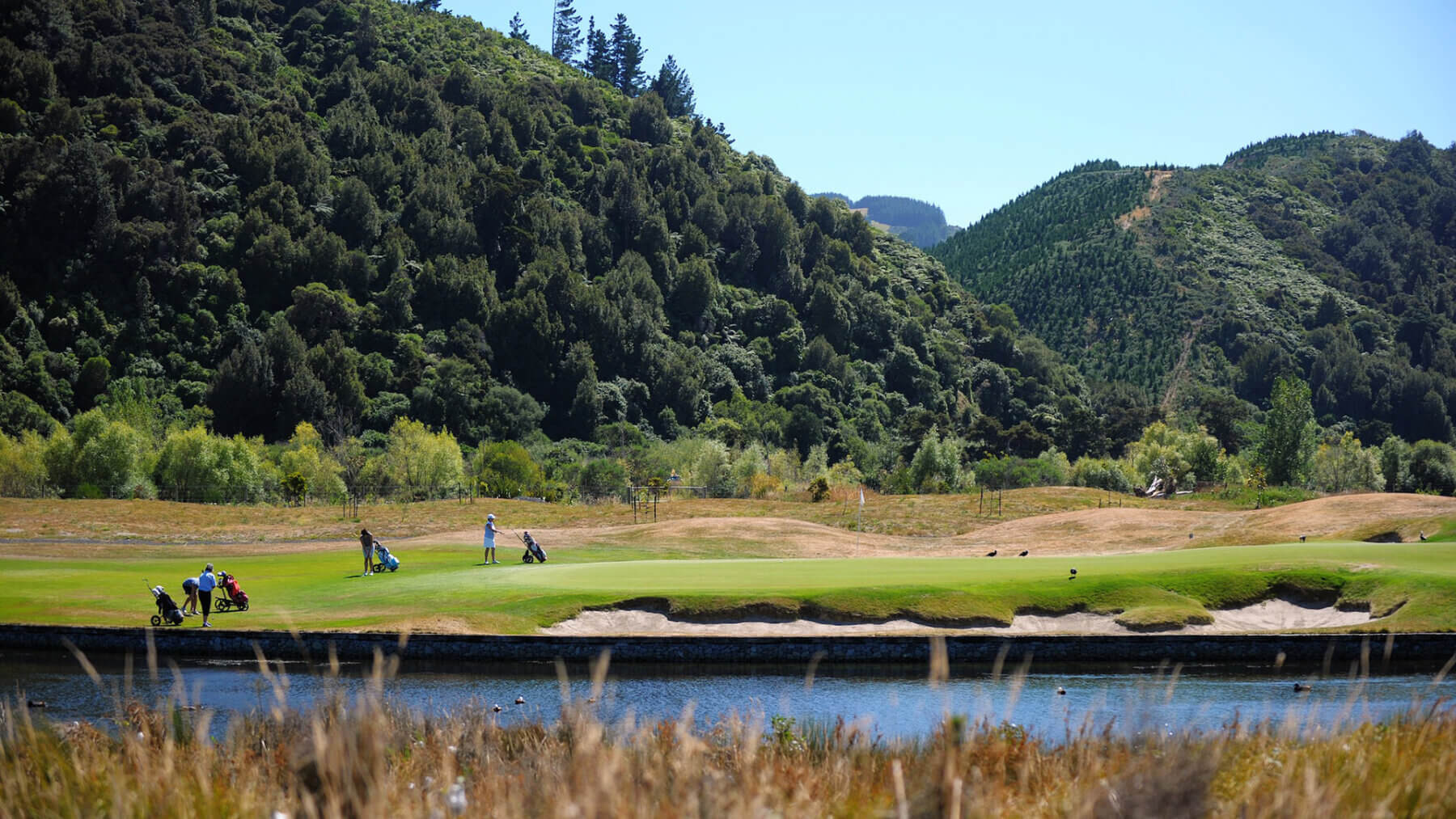 Travelling golfers enter a green on the Royal Wellington Golf Course