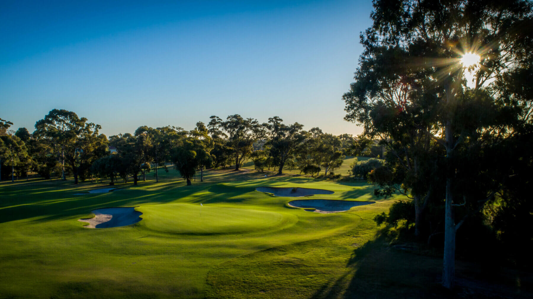 View of a green and large bunkers surrounded by tree-lined fairways at Commonwealth Golf Club, Melbourne