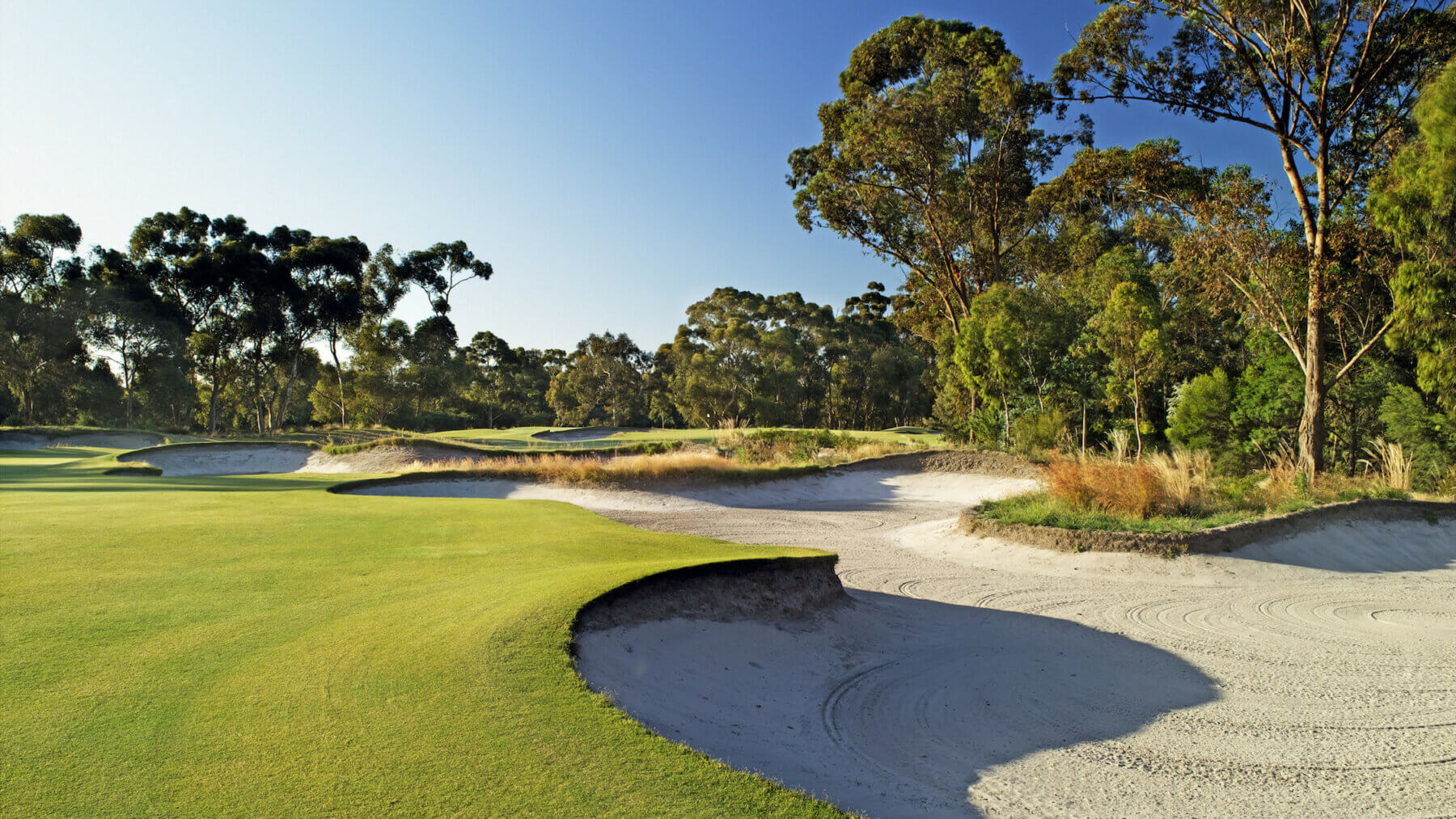 Flat sandy bunkers contrast with long grass and dense bushland on The Metropolitan Golf Club, Melbourne