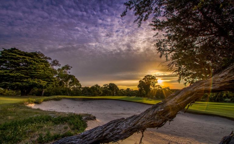 View over a large native tree branch to dusk over a golf green at Victoria Golf Club