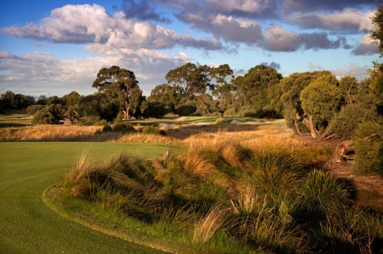 Long reeds separate a tee from green on a par-3 at Kingston Heath Golf Club
