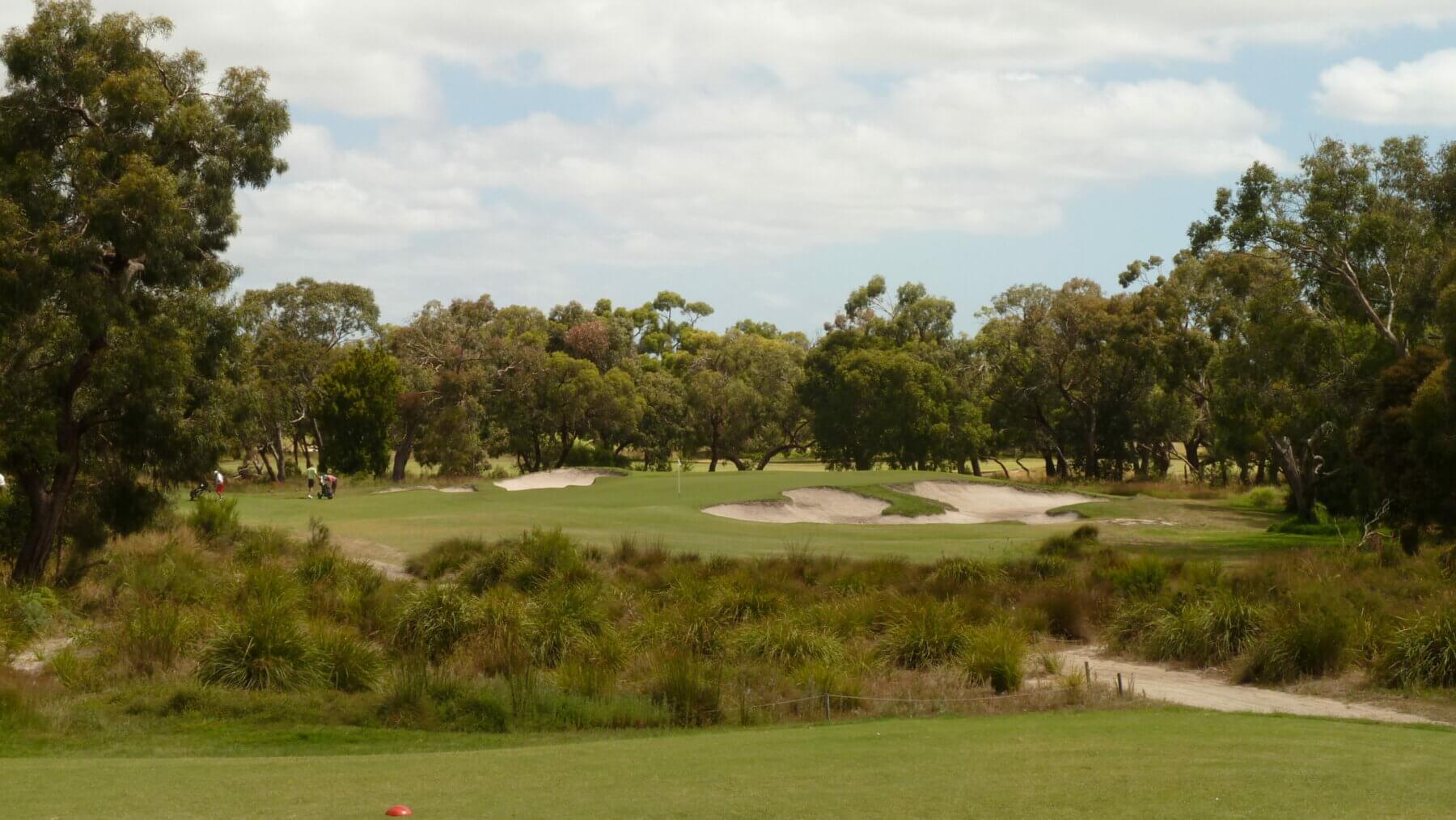 A green separated by long reeds from the sixteenth tee box
