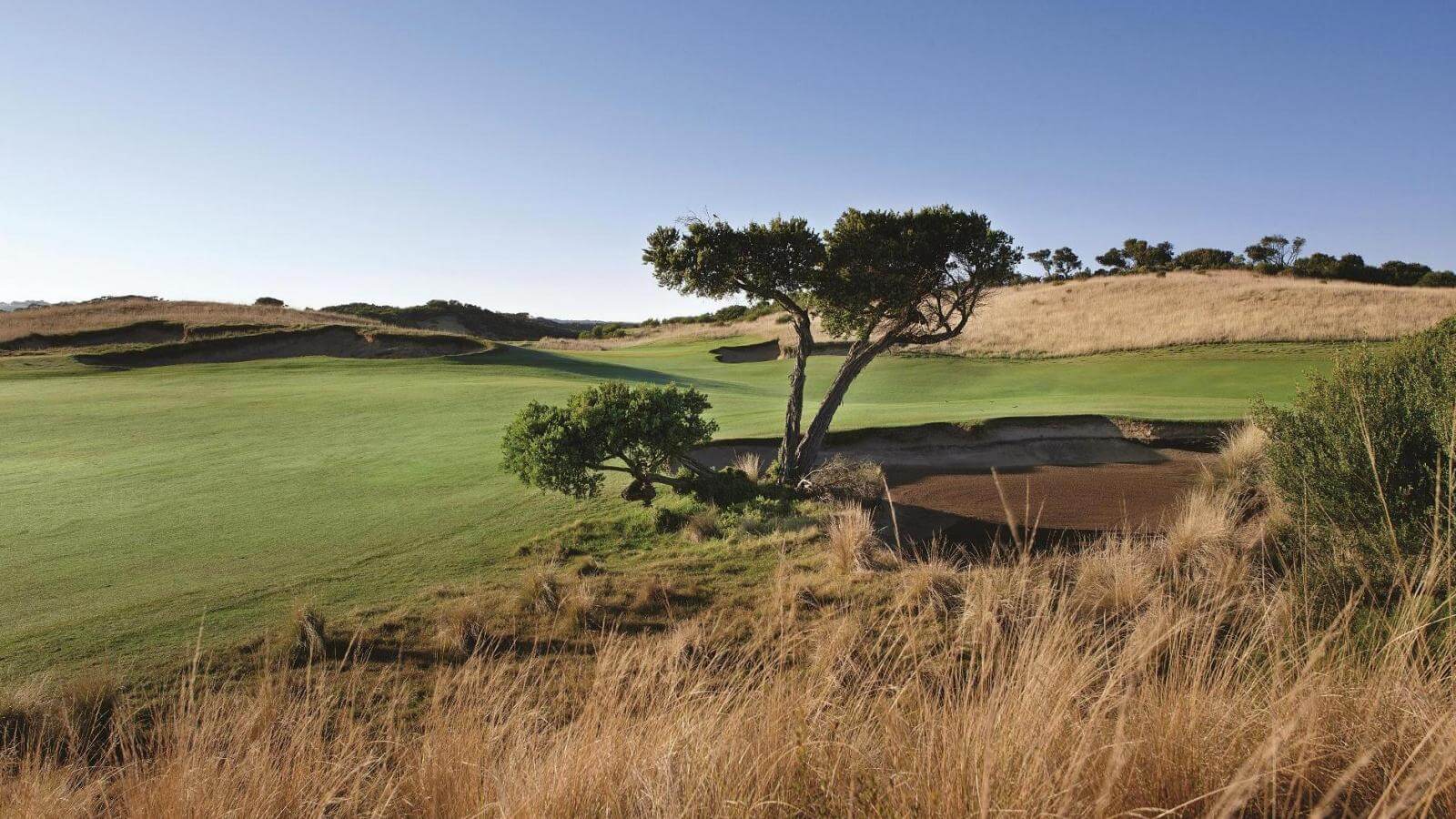 Native foliage features on the St Andrews Beach Golf Course