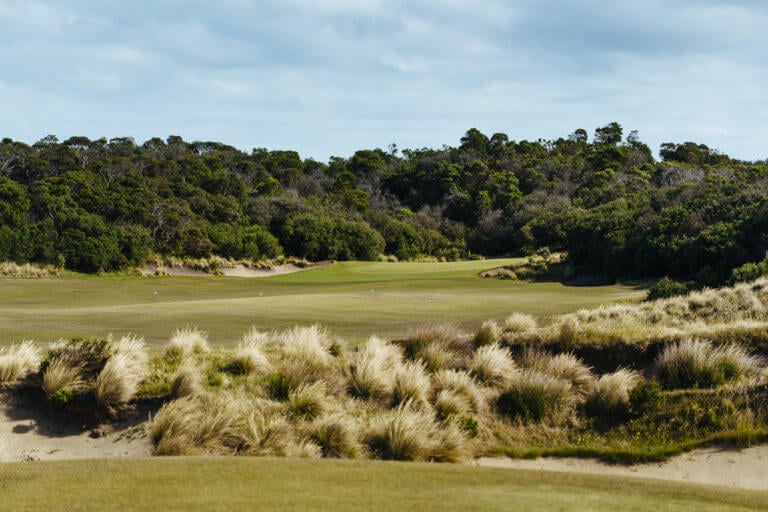 Long reeds separate a tee from fairway at St Andrews Beach Golf Club