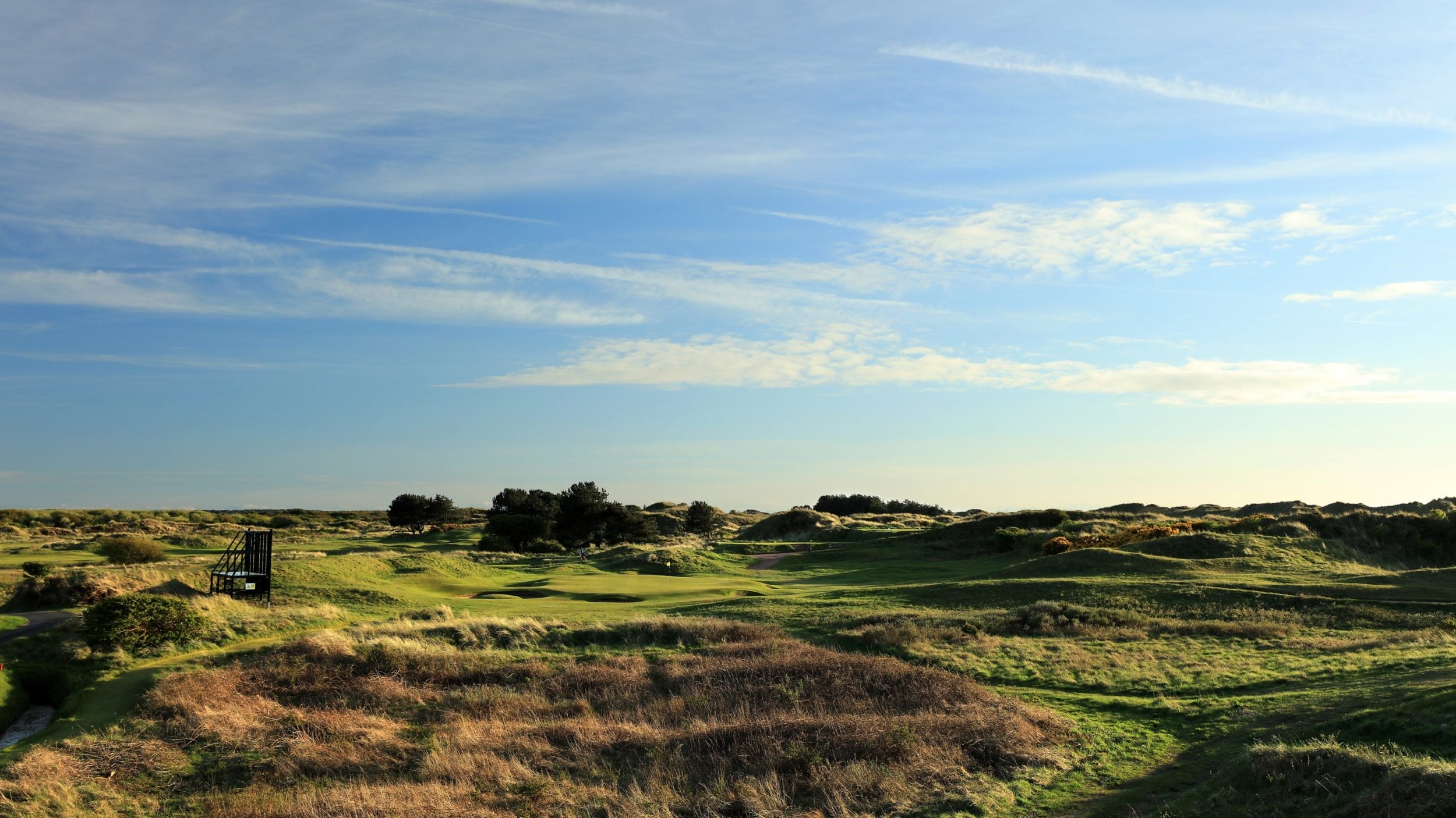 Landscape view of the seventh green with long fescue grass surrounding