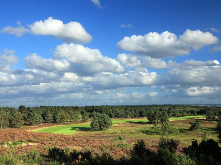 Landscape view over heather and forest at Sunningdale Golf Club's New Course