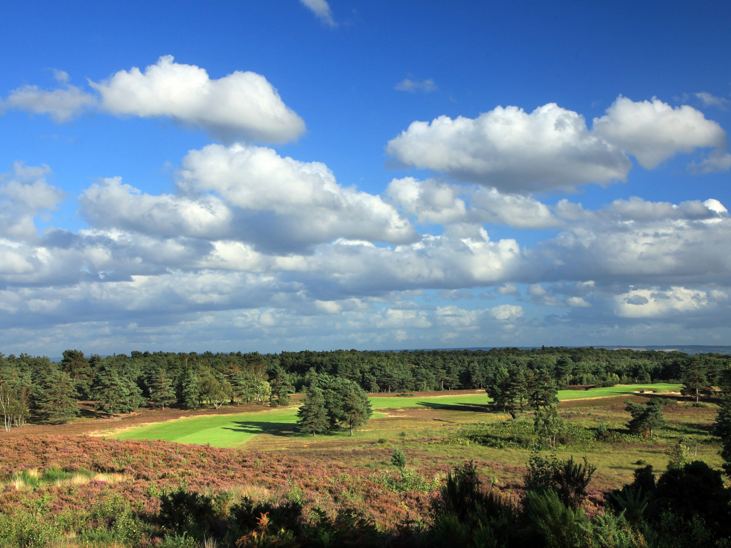 Landscape view over heather and forest at Sunningdale Golf Club's New Course