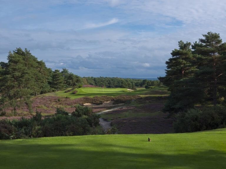 Overlooking a par three over dense foliage and ravine