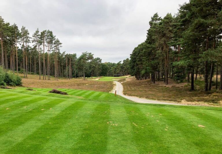 Tall pine trees surround the thirteenth hole at Sunningdale's New course