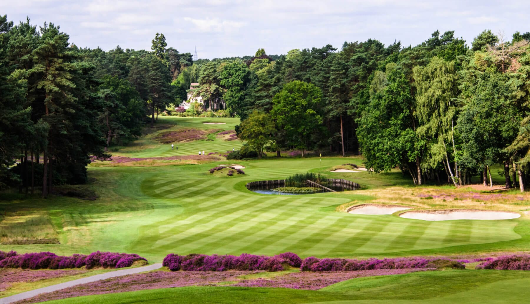 Colourful heather decorates much of the old course fifth hole
