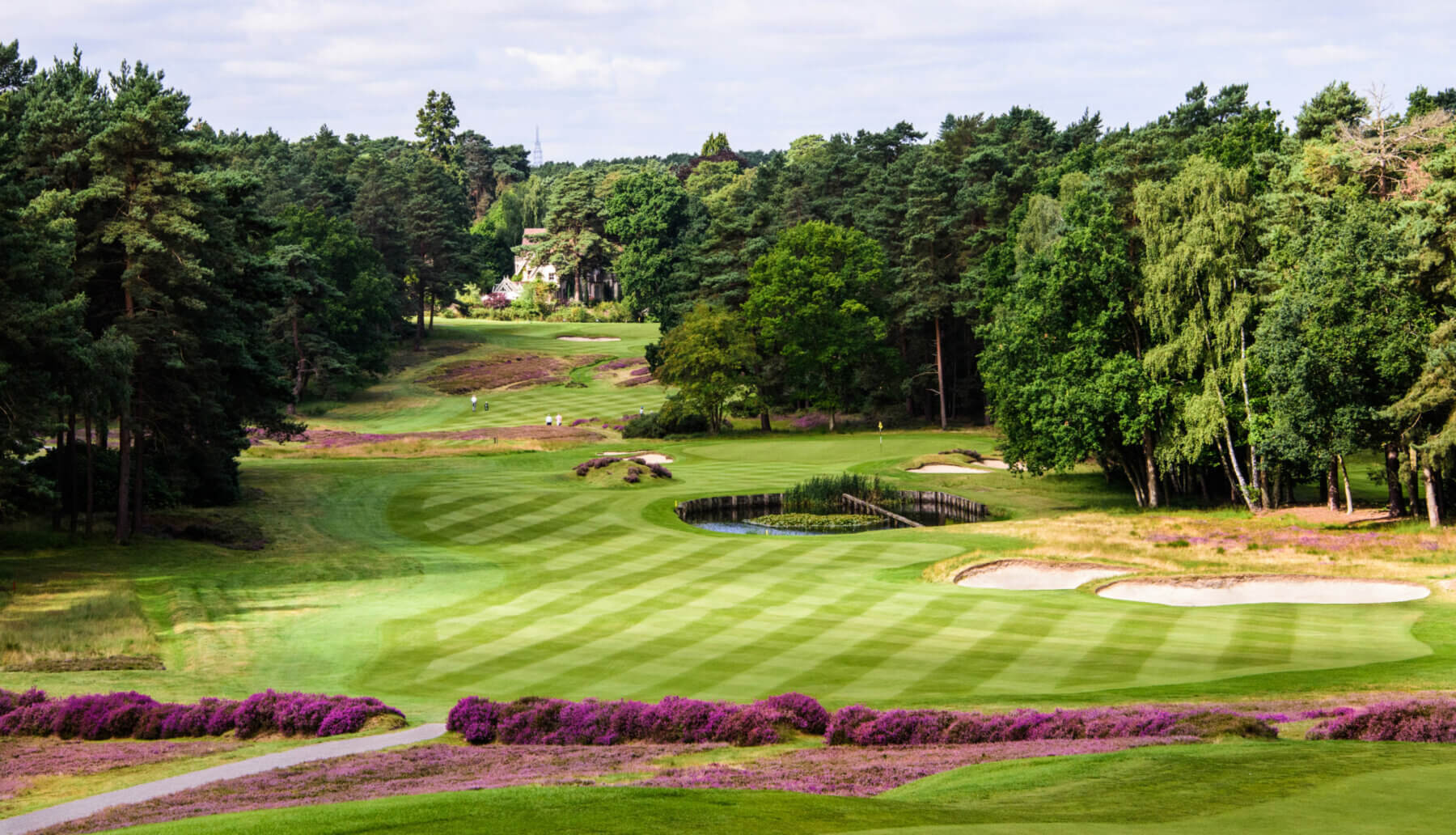Colourful heather decorates much of the old course fifth hole