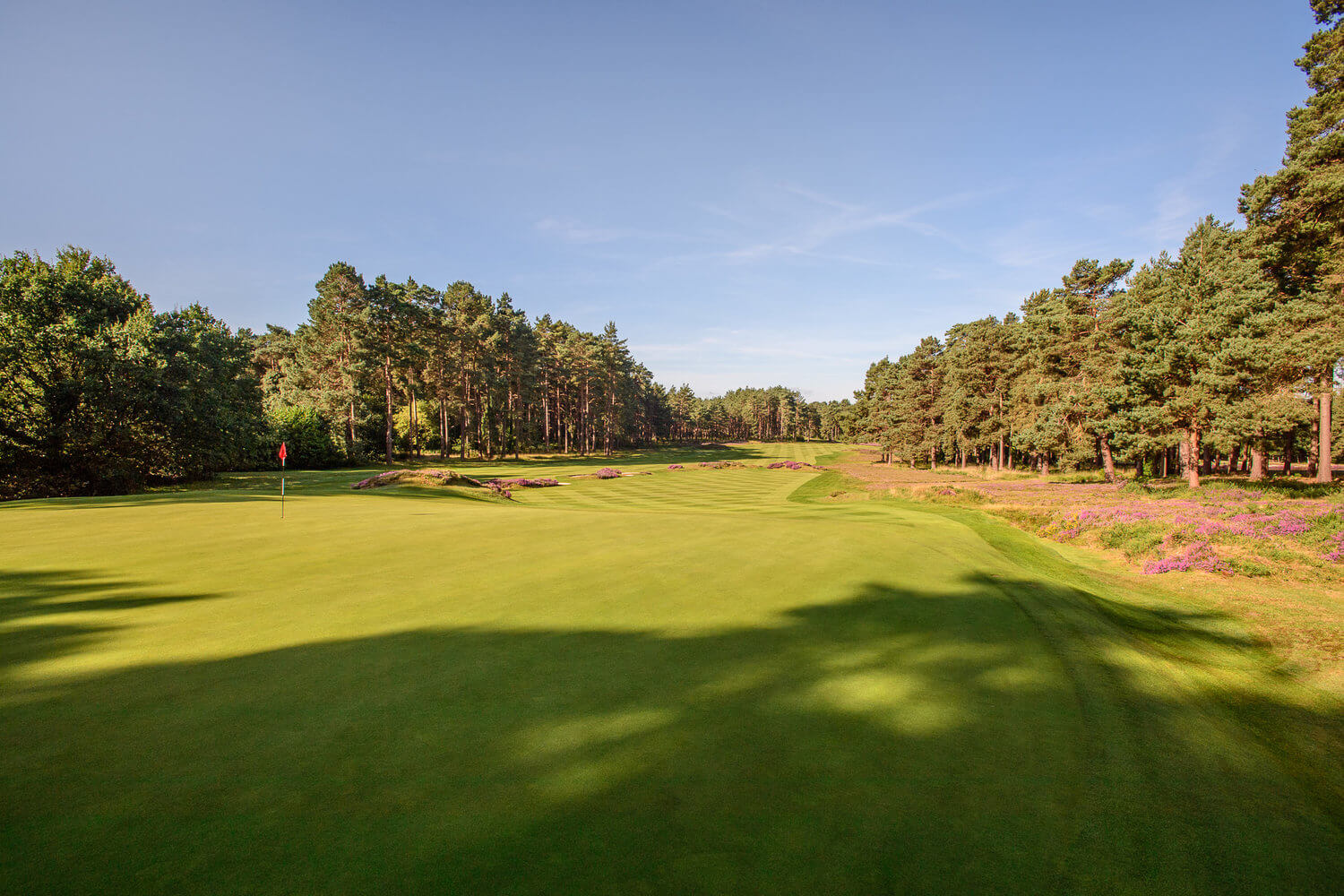 Overlooking the twelfth green looking back down the fairway