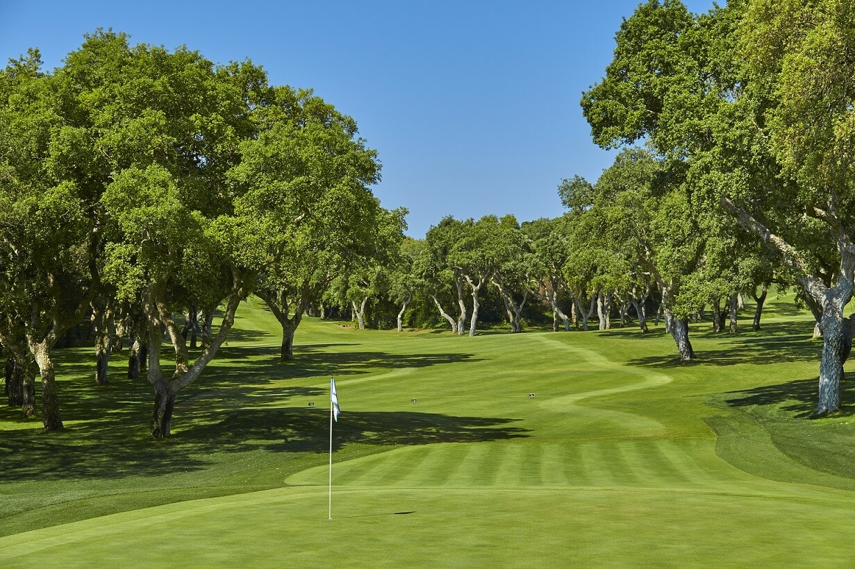 A well-treed fairway leads to flat green