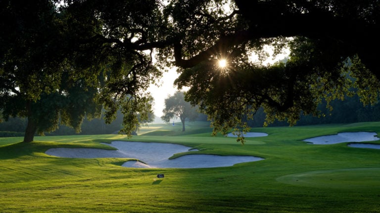 Overhanging branches cause leafy sunlight shining on the golf course