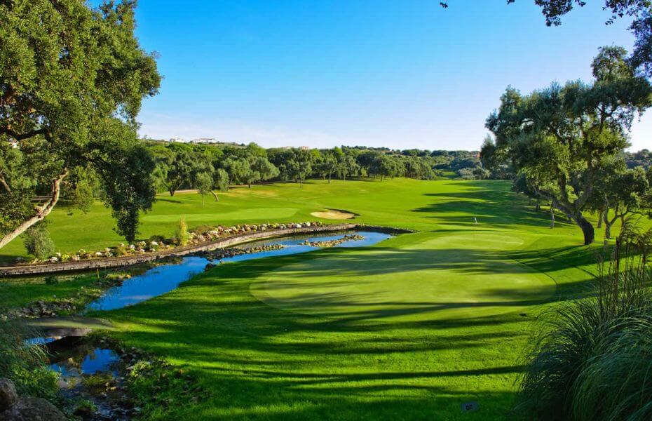Overlooking a green and open fairway