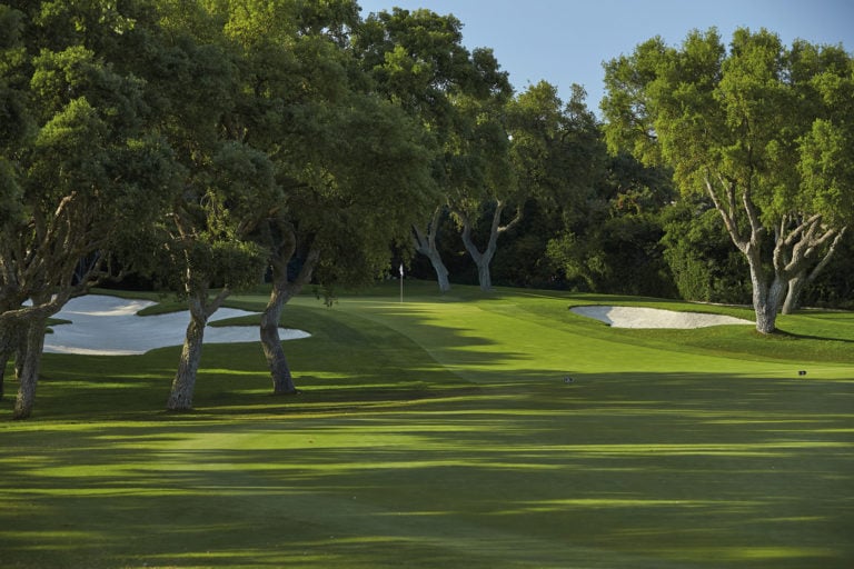 Large trees and bunkers flank the approach to a green at Real Club Valderrama
