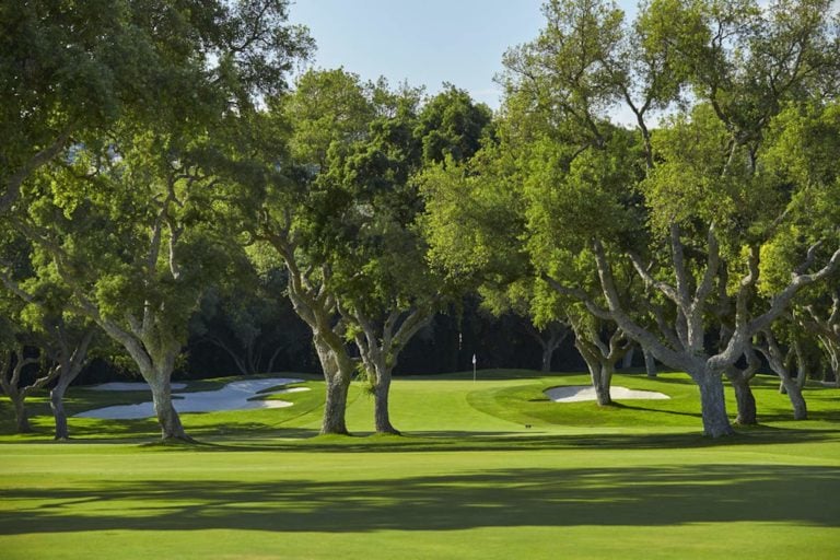 A green is protected by a band of trees on the fairway