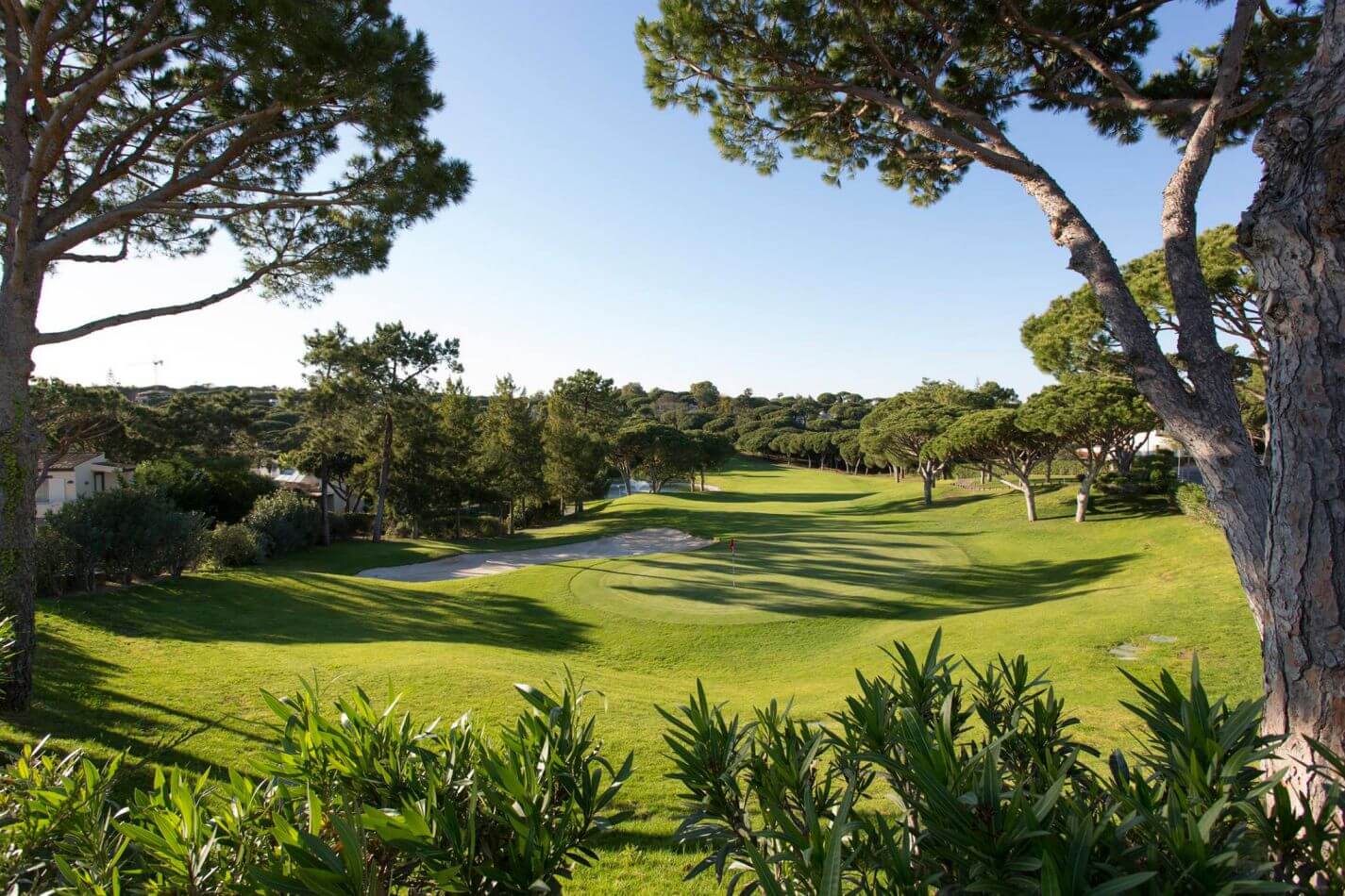 Overlooking a green flanked by trees and long sand trap