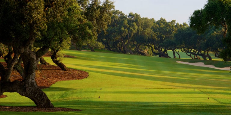 Landscape view of a tee-box leading to a sloped fairway at Real Club Golf de Sotogrande