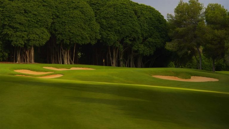 Large trees overlook the second green at Sotogrande Golf Club in Spain