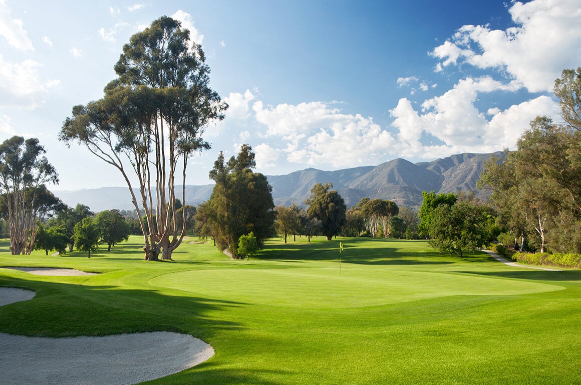 Large tree stands over the Ojai Valley Inn Golf Course