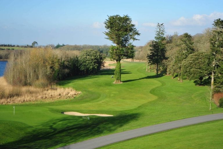 A large tree stands in the centre of a fairway at Dromoland