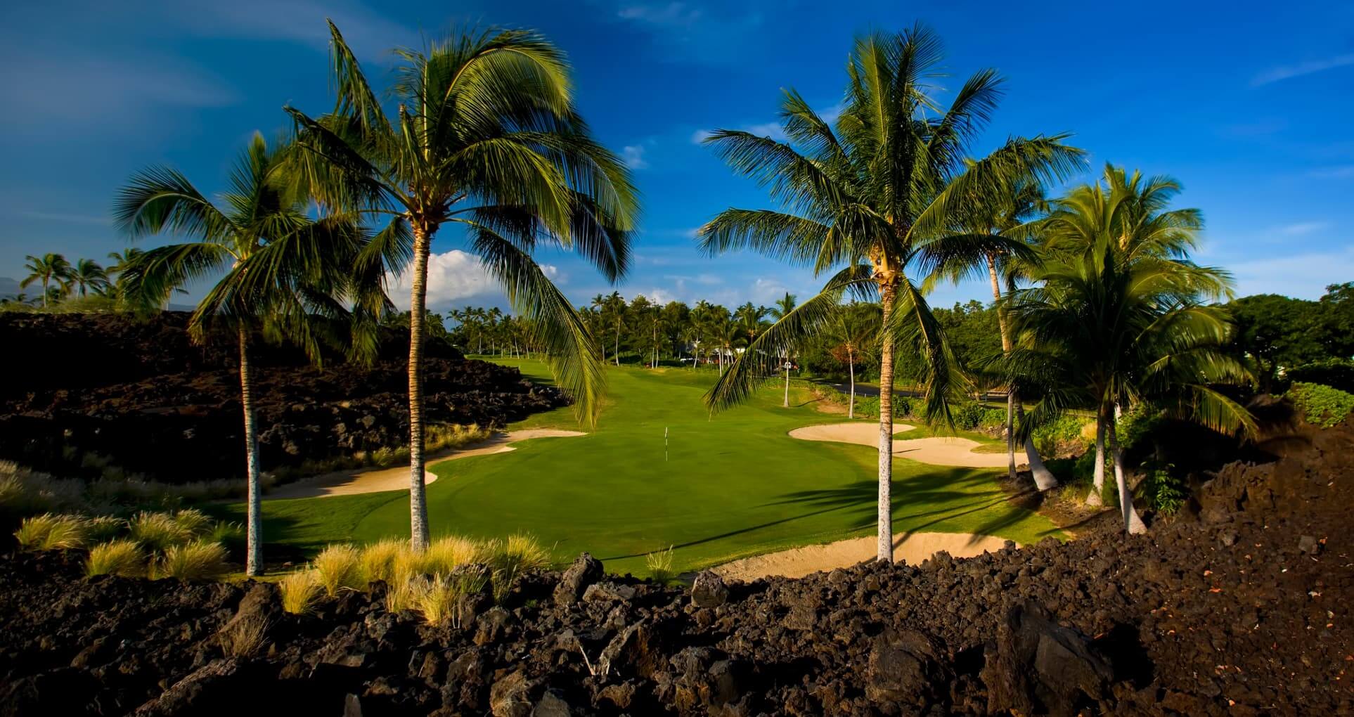 Golden sunlight shines on palm trees and the King's Course