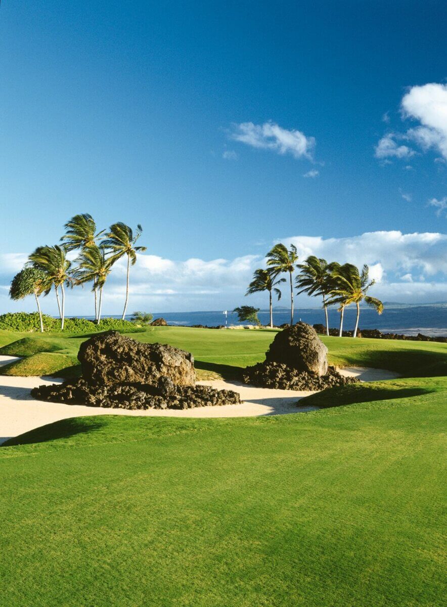 Portrait view of lava outcrops and palm trees on the King's Course