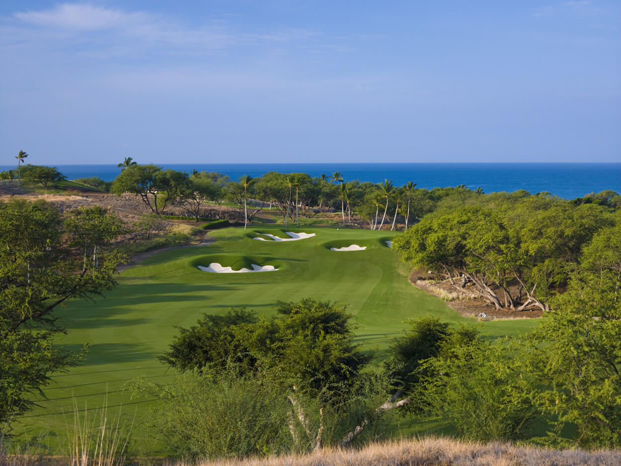 Overlooking a par-5 with dense trees on the right