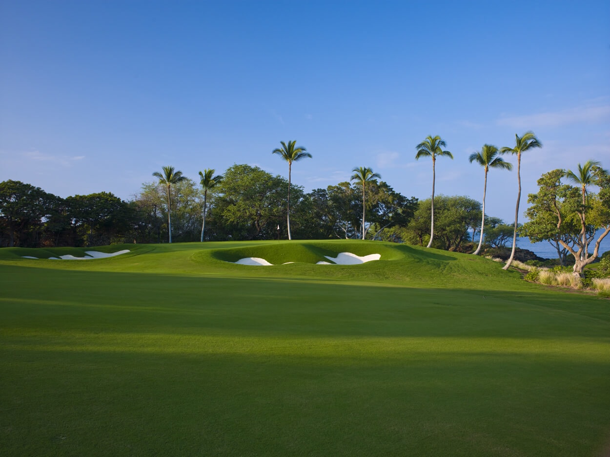 Palm trees stand over an elevated golf green at Mauna Kea in Hawaii